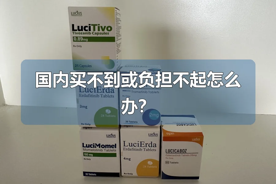 国内买不到或负担不起怎么办？